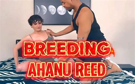 Ahanu Reed Porn Videos 2025 Porn Star Sex Scenes XHamster