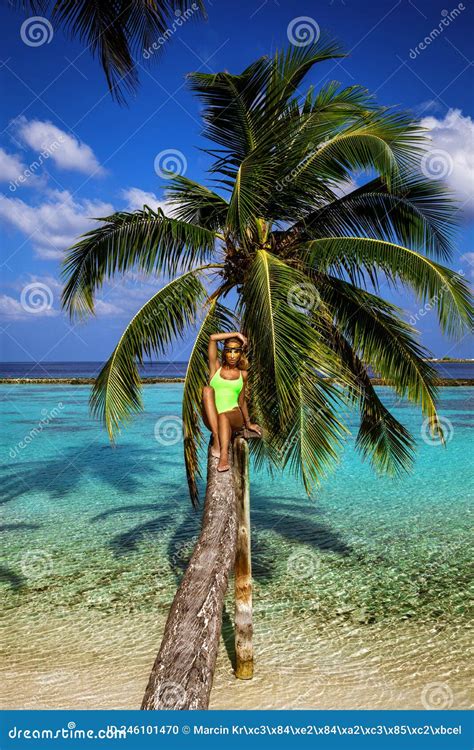 Belle Femme En Bikini Sur Un Palmier Sur La Plage Paradisiaque Des Maldives Modèle Sexy Posant