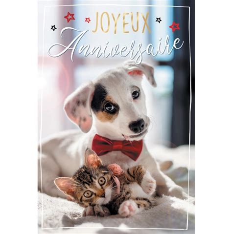 Carte Anniversaire Animaux Rodrigues Sa