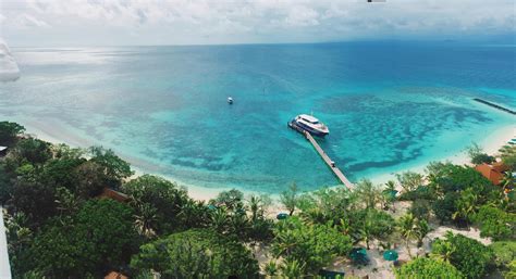 Madeleine - Intensive French in New Caledonia - Careers and