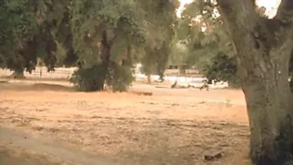 Gabrielle Anwar Tenths Celebrity Porn By Celeb Porn Archive XHamster