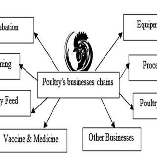 livestock  poultry subsector businesses  scientific diagram
