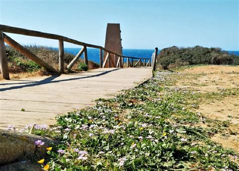 Ruta Acantilados De Conil Conil Quedadas M Laga