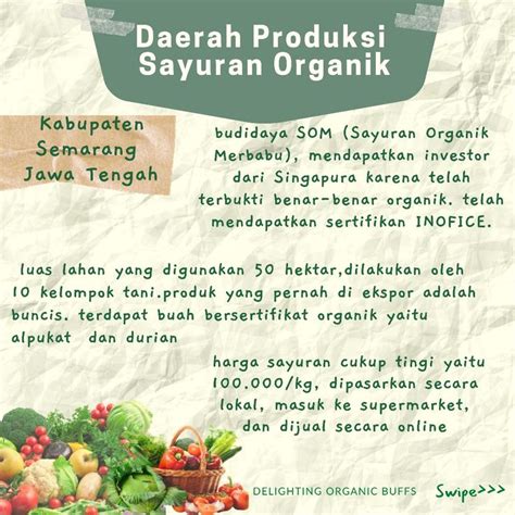 Pin by Edukasi Pertanian Organik on Daerah Produksi Pertanian Organik ...