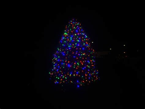 Second Annual Tree Lighting Ceremony Brightens Up Boston Square