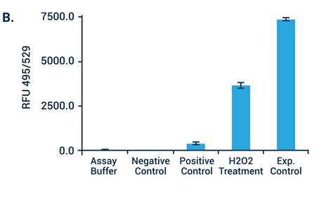 Reactive Oxygen Species Ros Detection Assay Kit Bn01103