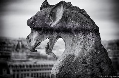 Gargoyles Print Set Set Of 4 Prints Of Paris Gargoyles Etsy