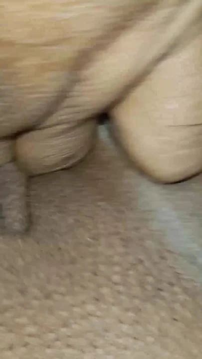 Full Pussy Views Fingering Amateur Amateur Porn By Faphouse Xhamster