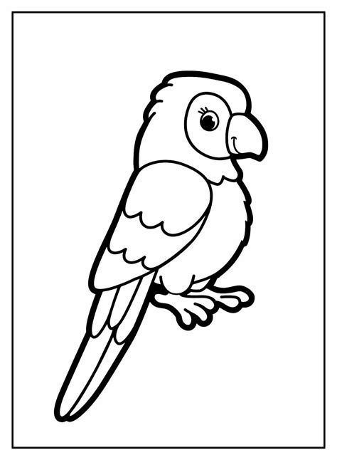 Papagaio Colorir - Desenhos de Papagaio para colorir - Bora Colorir