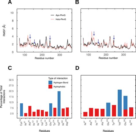 Protein Rmsf And Ligand Interaction Mapping From Pkng Ax And