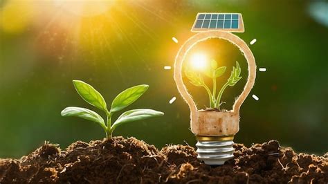 Premium Photo Lightbulb With Small Plant On Soil And Sunshine Concept