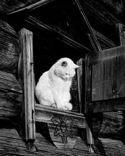 Links Naked Capitalism