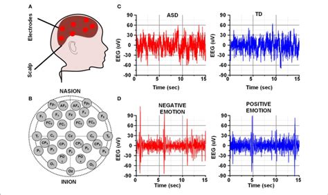 A Human Brain And Eeg Electrodes B 10 20 Eeg Recording System C