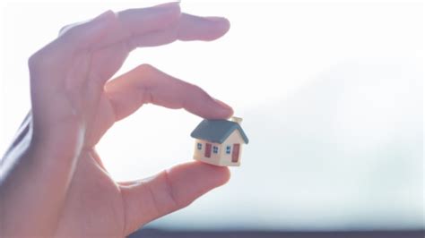 bridging finance   bridging finance work djf asset