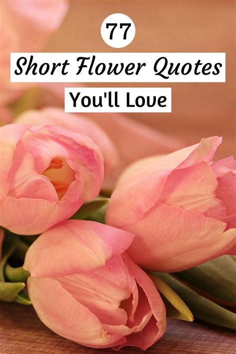 Short Flower Quotes Gardening Quotes Inspirational Floral