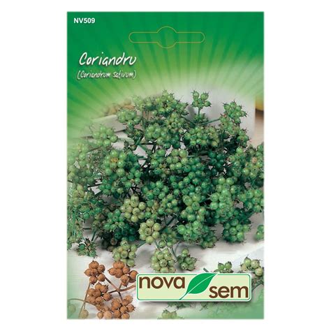 Seminte Plante Aromatice Coriandru Novasem