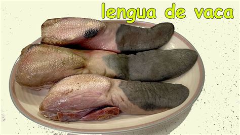 Lengua De Vaca En Salsa Suavecita Y Deliciosa Youtube