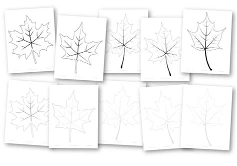 Maple Leaf Printable Templates