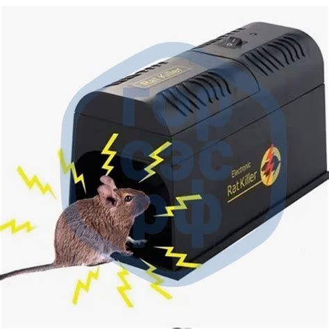 Ловушки для крыс и мышей - Дезинсекция и дезинфекция в Новосибирске