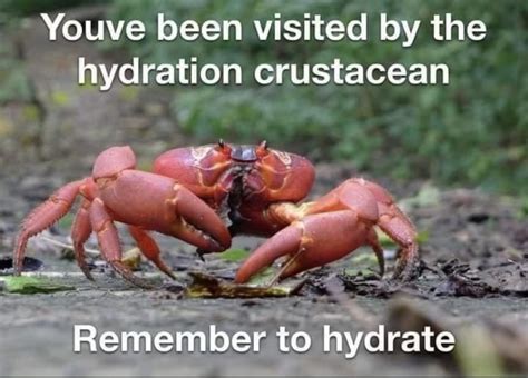 Drink Water Meme Subido Por Timy Horton Memedroid