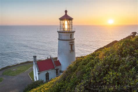 Heceta Head Lighthouse Oregon - Alan Majchrowicz Photography