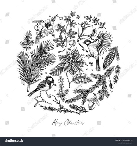 Ai Tits Images Stock Photos D Objects Vectors Shutterstock