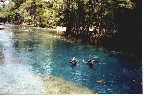 Manatee Springs - Scuba diving this Florida State park spring | State