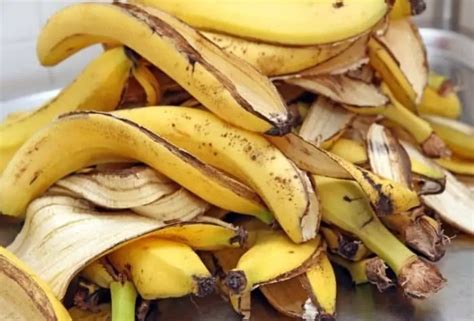 Banpeel Fertiliser Kulit Pisang Sebagai Baja Organik Masa Kini Majalahsains