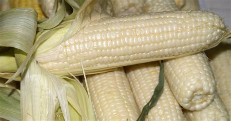 Kitchen Notes Silver King Corn