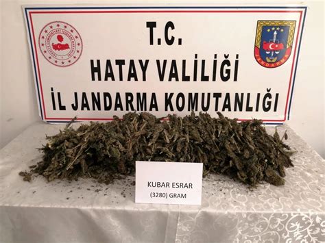 Hatay Sayfa Haberi Hatay Da Uyu Turucu Operasyonu Haberler