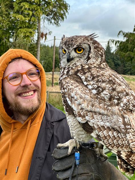 Alex Hedley - Mini Falconry Experience Day