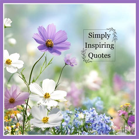 Inspire Positive Soul Sensations - Note to self: Keep going. You're