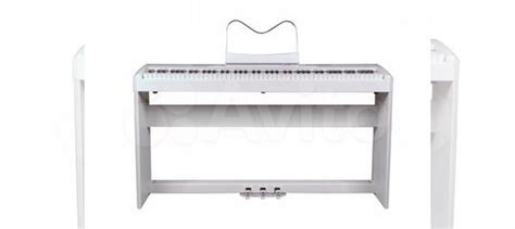 Цифровое фортепиано Ringway RP-35 W купить в Муроме | Хобби и отдых | Авито