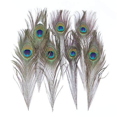 Peacock Feather Decoration Peacock Feathers Accessories Peacock