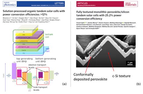 Simulation Of Organic And Perovskite Tandem Solar Cells