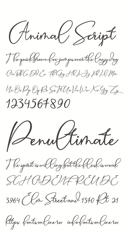 wild animal online pos script