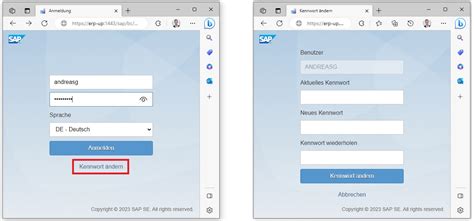 Passwort Eines Sap Benutzers Einfach Ndern Tipps Tricks