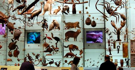 California Scientists Identified 85 New Species in 2017