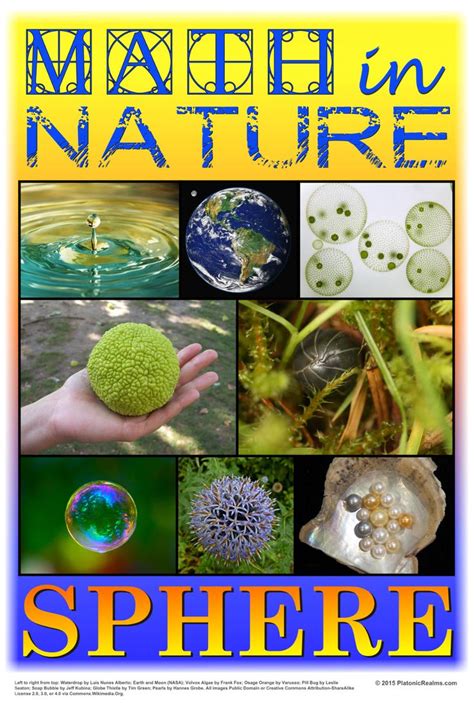 Math in Nature Classroom Poster: Sphere - Etsy