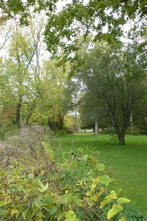 River Oaks Park | Ozaukee County, WI - Official Website