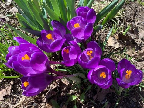 Деревня Новое Почвино. Вышний Волочек. Тверская область. Без ...