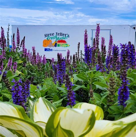 Vintage Adventures - The rain is ending soon! As you enjoy the Nickel