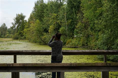 Birding 101 Responsible Birding The BC Bird Trail