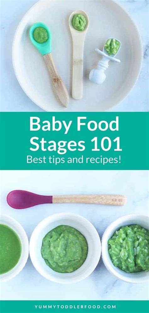 Baby Food Stages 101: Tips, Recipes, and Visuals