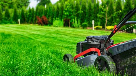 Diagnosing Heat Stress On Your Lawn