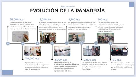 L Nea Del Tiempo De La Evoluci N De La Panader A