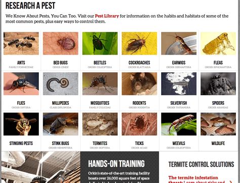 orkin reviews real customer reviews