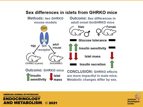 Loss Of Growth Hormone Signaling In The Mouse Germline Or In Adulthood