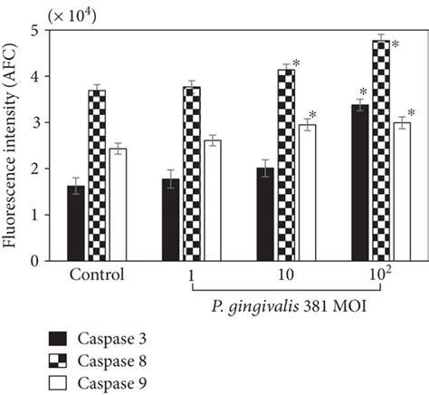 P Gingivalis Infection Inhibits Cellular Proliferation And Induces