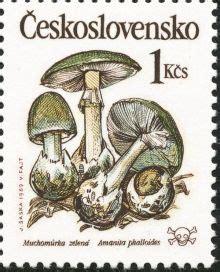 Czechoslovakia 1989 Fungi Stamps Of The World